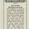 Chrysiridia madagascarienis.