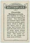 Chrysiridia madagascarienis.