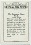 The common tiger moth.