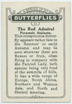 The red admiral.