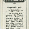 Metamorpha dido.