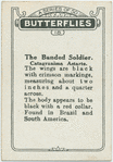 The banded soldier.
