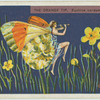 The orange tip.