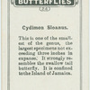 Cydimon sloanus.