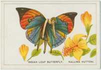 Index