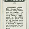 Protogonius fabius.