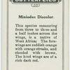 Miniodes discolor.