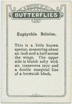 Euptychia brixus.