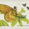 The glanville fritillary.