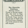 The glanville fritillary.