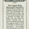 The lappet moth.