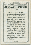 The lappet moth.