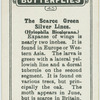 The scarce green silver lines.