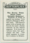 The scarce green silver lines.