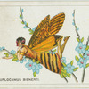 Euplocamus bienerti.