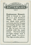 Euplocamus bienerti.