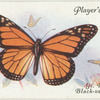 Great Britain - black-veined brown.