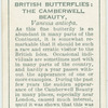 Great Britain - camberwell beauty.