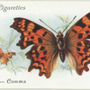 Great Britain - comma.