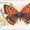 Great Britain - small copper.