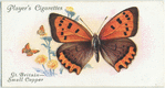 Great Britain - small copper.