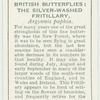 Great Britain - silver-washed fritillary.