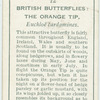 Great Britain - orange tip.