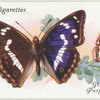 Great Britain - purple emperor.