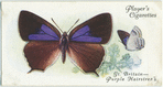 Great Britain - purple hairstreak.