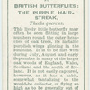 Great Britain - purple hairstreak.