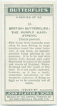 Great Britain - purple hairstreak.