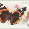 Great Britain - red admiral.