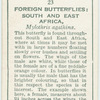 South & East Africa - mylothris agathina.