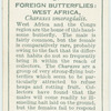 West Africa - charaxes smaragdalis.