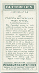 West Africa - cymothoë sangaris.