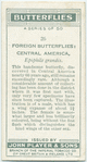 Central America - epiphile grandis.