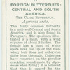 Central & South America - click butterfly.