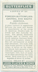 Central & South America - papilio childrenae.