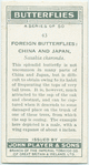 China & Japan - sasakia charonda.