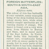 South & South-East Asia - appias nero.