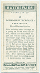 East Indies - zeuxidia amethystus.