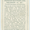 Solomon Islands, etc. - troides p. urvillianus.