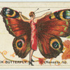 The peacock butterfly.