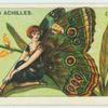 Morpho achilles (underside).