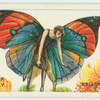 India leaf butterfly (kallima huttoni).