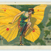 The brimstone butterfly (gonepteryx rhamni).