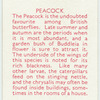Peacock.