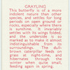 Grayling.