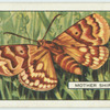 Mother Shipton.