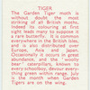 Tiger.